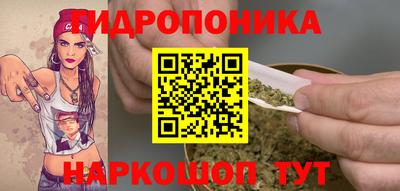 марки nbome Кингисепп